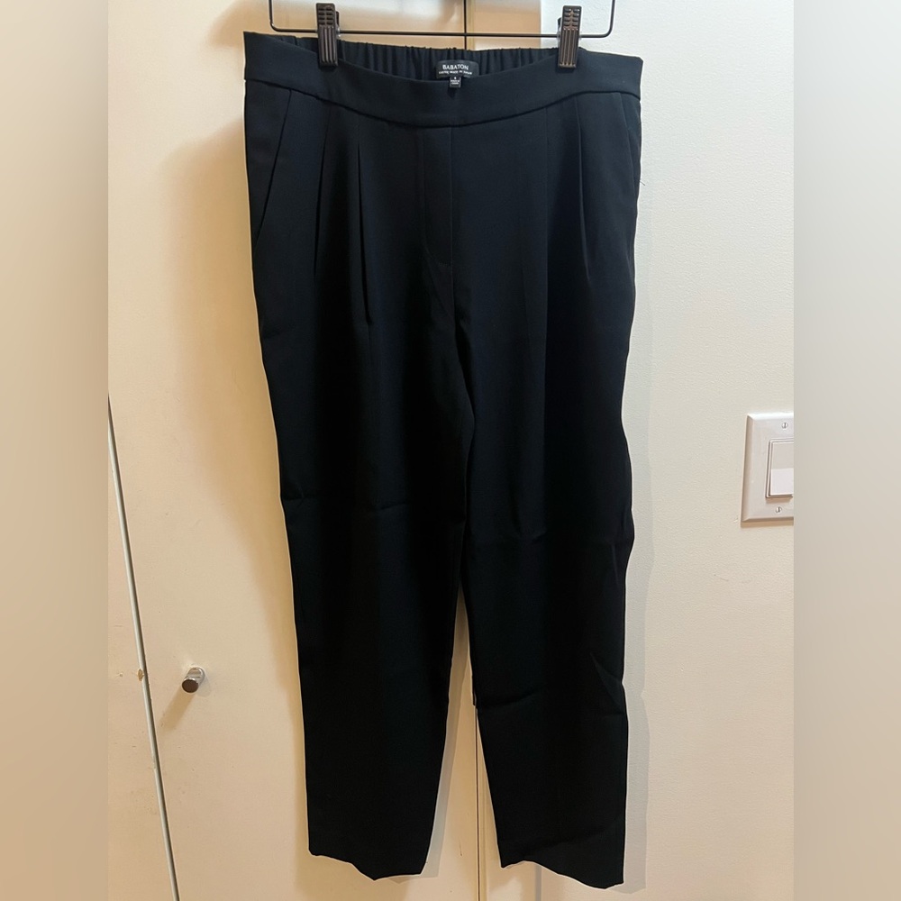 Aritiza Babaton Pleated Trousers